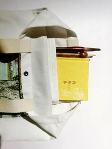 王建鋒繪畫(huà)藝術(shù)衍生品與亮寶樓文創(chuàng) 藝術(shù)與商業(yè)的完美融合